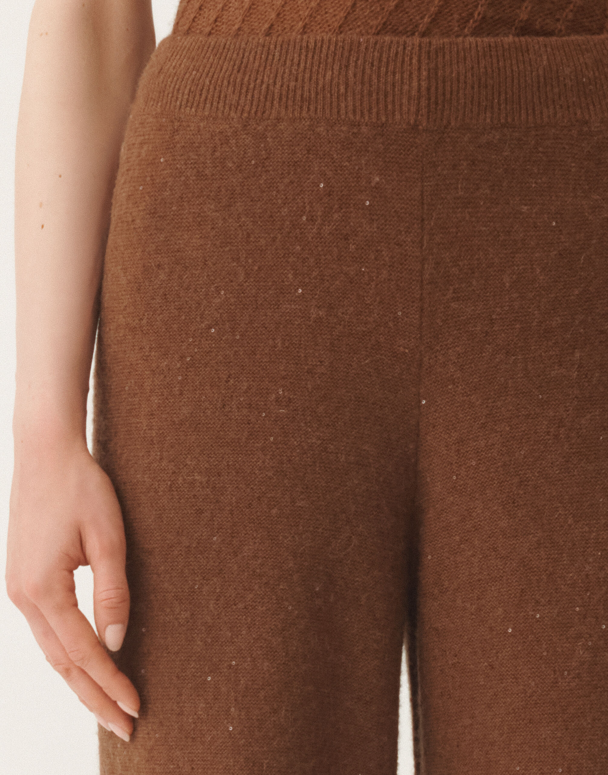Wool and silk trousers with sequins, mahogany for Women | Fabiana