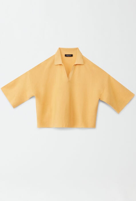 Fabiana Filippi Organic cotton polo shirt, mandarin MAD274F524D6640000