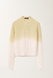 Fabiana Filippi Gradient platinum cardigan, aloe GREEN MAD265F103L1600000