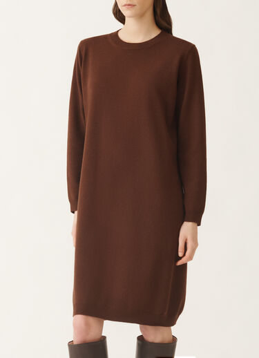 Fabiana Filippi Platinum dress, ebony BROWN ABD215F141L5170000