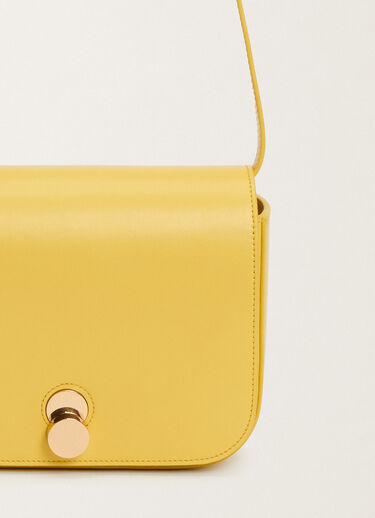 Fabiana Filippi Eclissi calfskin messenger bag, cedar YELLOW BGD265A859L2140000