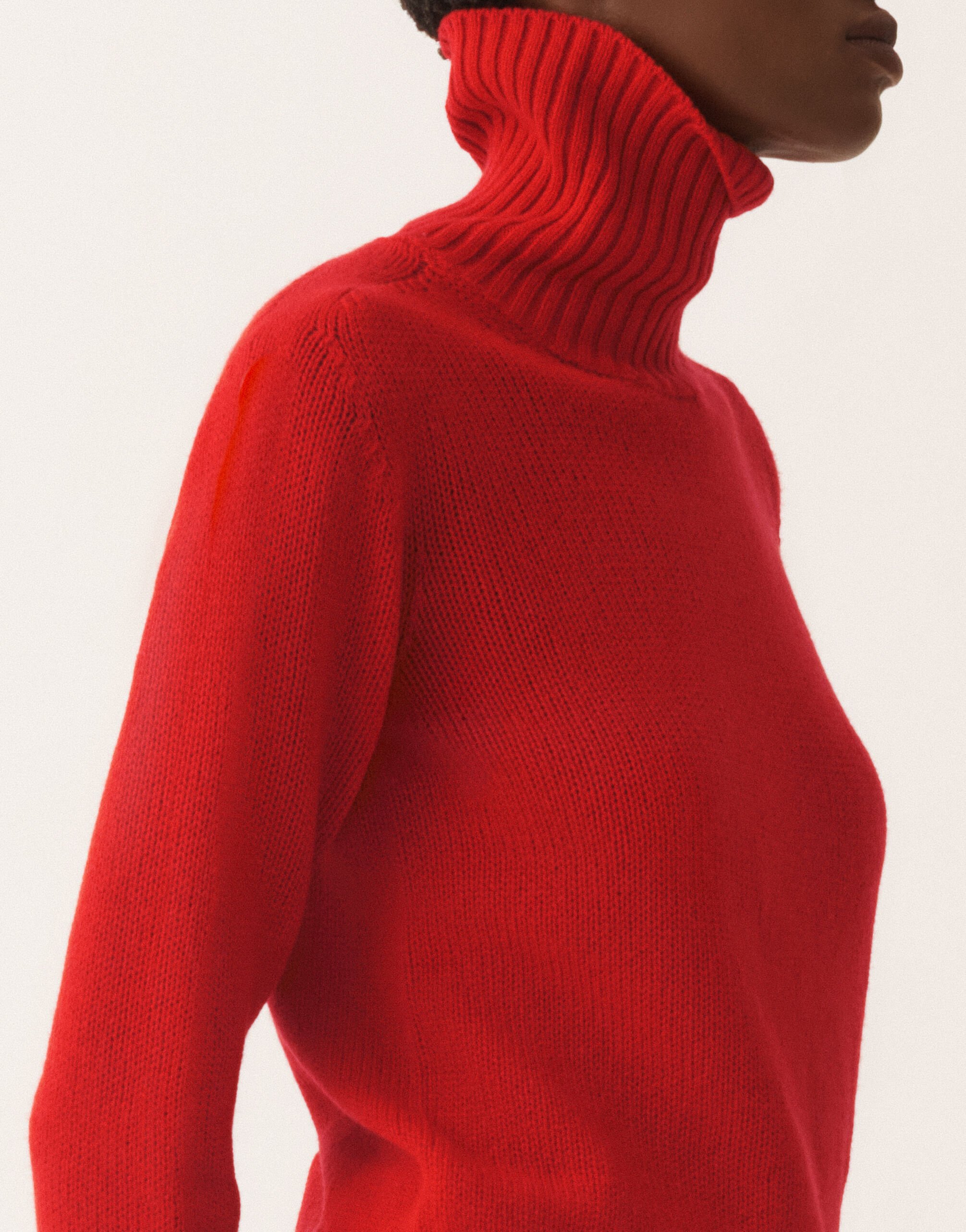 Cashmere turtleneck sweater, lacquer for Women | Fabiana Filippi®