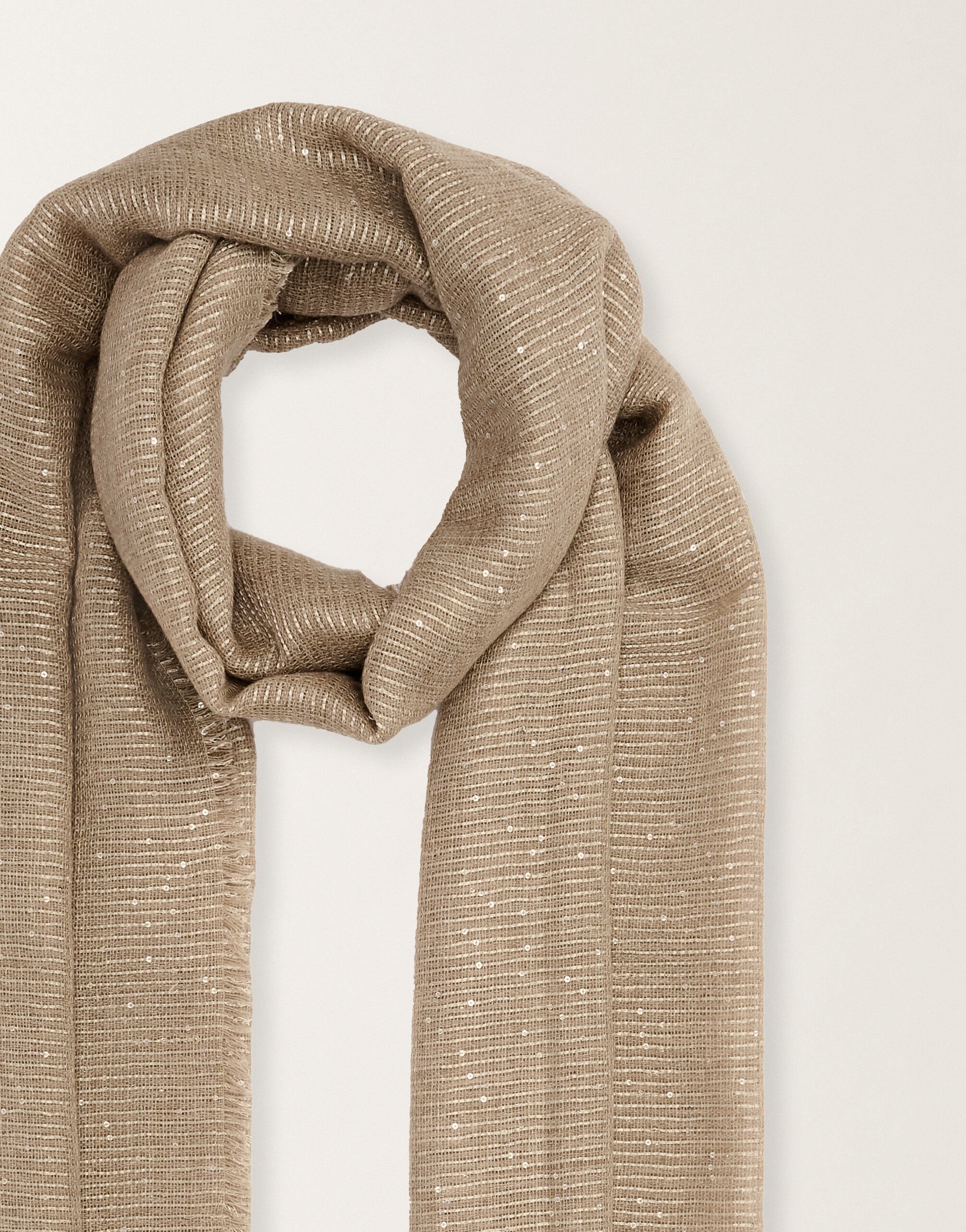 Fabiana Filippi Schal aus einer Kaschmirmischung mit Pailletten, seilbraun Beige SAD215A881L8000000