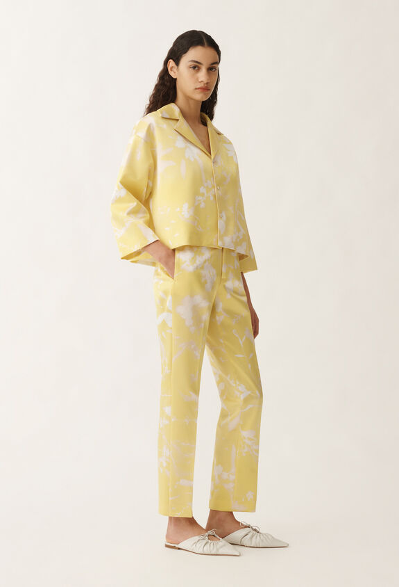 Fabiana Filippi Montefalco tilia-print silk trousers, cedar YELLOW PAD265F326D8270000