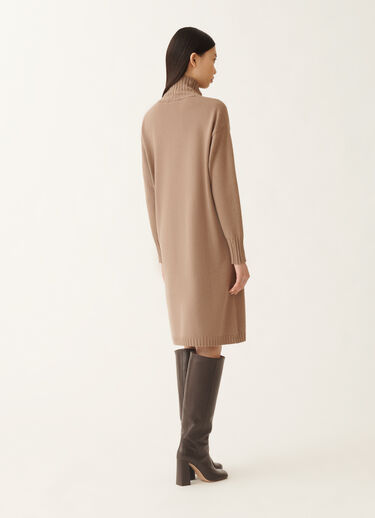 Fabiana Filippi Kleid in Platin, Rinde Braun ABD225F588L5170000