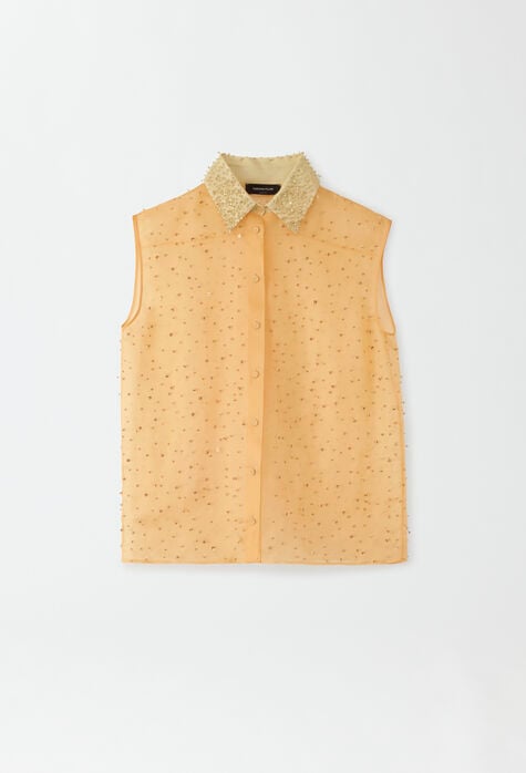 Fabiana Filippi Silk organza shirt, mandarin and pistachio CAD274F541D6140000
