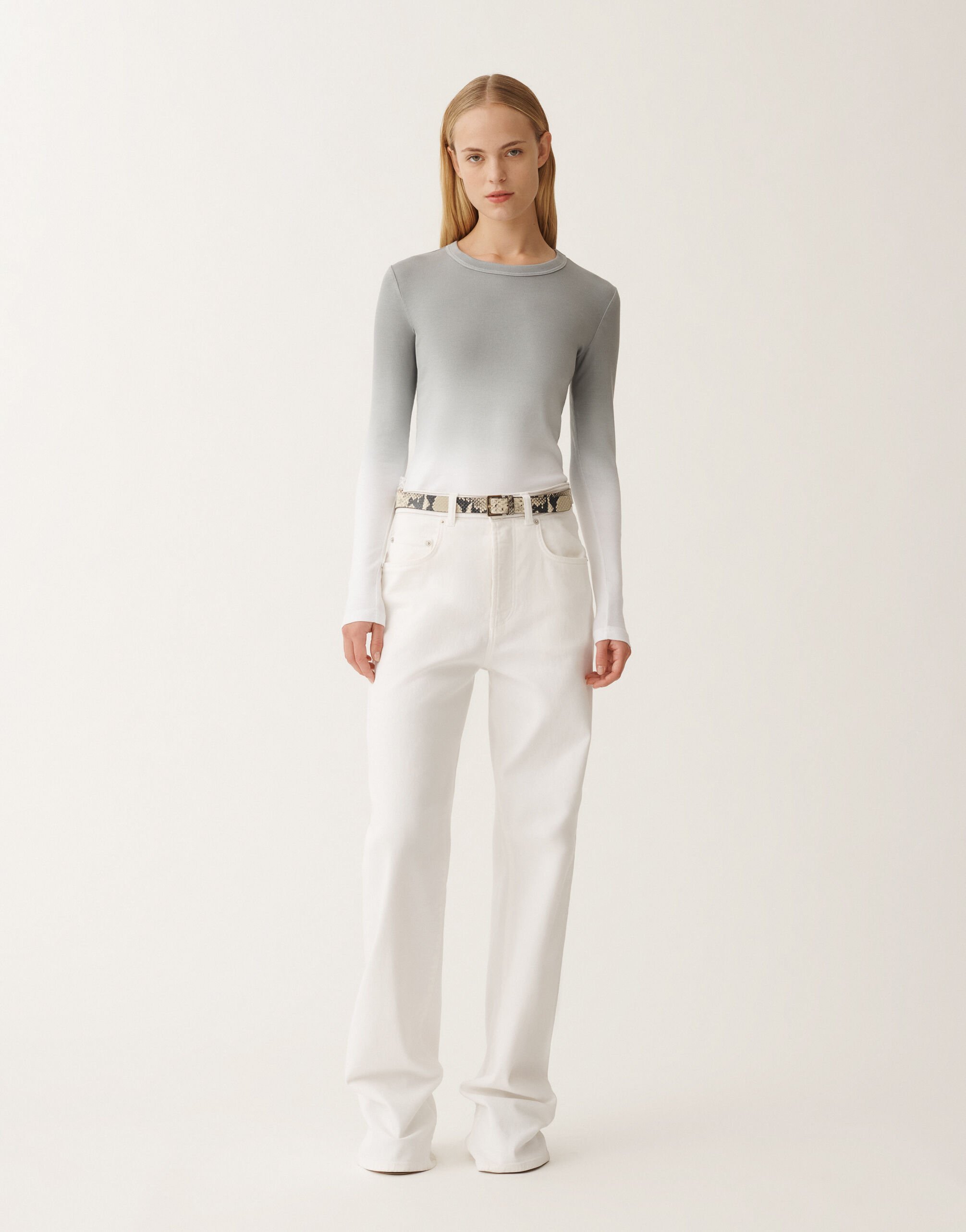 Fabiana Filippi T-shirt en jersey à imprimé dégradé, cendre GRIS JED265F153L2870000