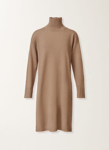Fabiana Filippi Kleid in Platin, Rinde Braun ABD225F588L5170000
