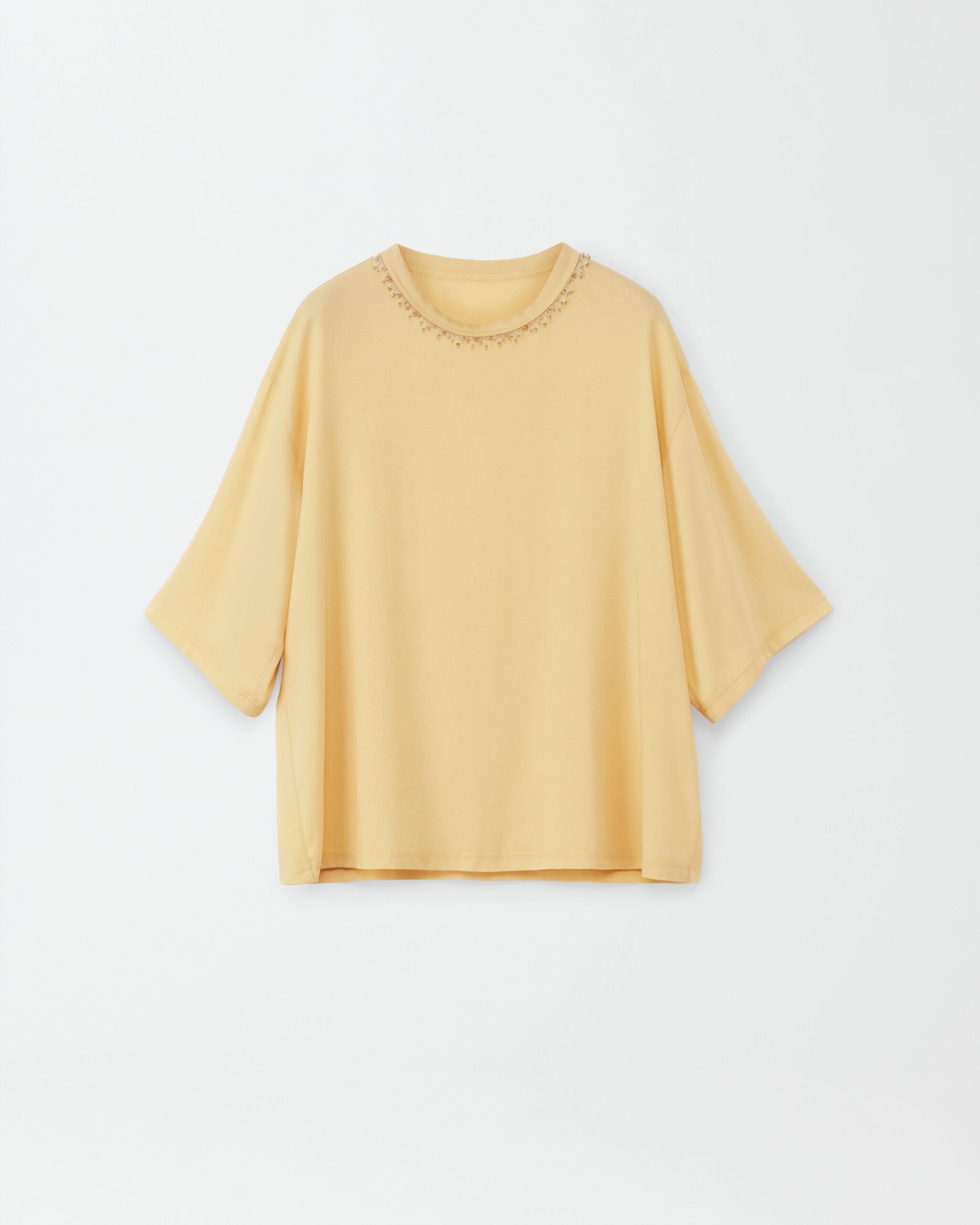 Fabiana Filippi STRETCH SABLE' T-SHIRT WITH FUNGHETTO PIPING CAD274F422H4570000