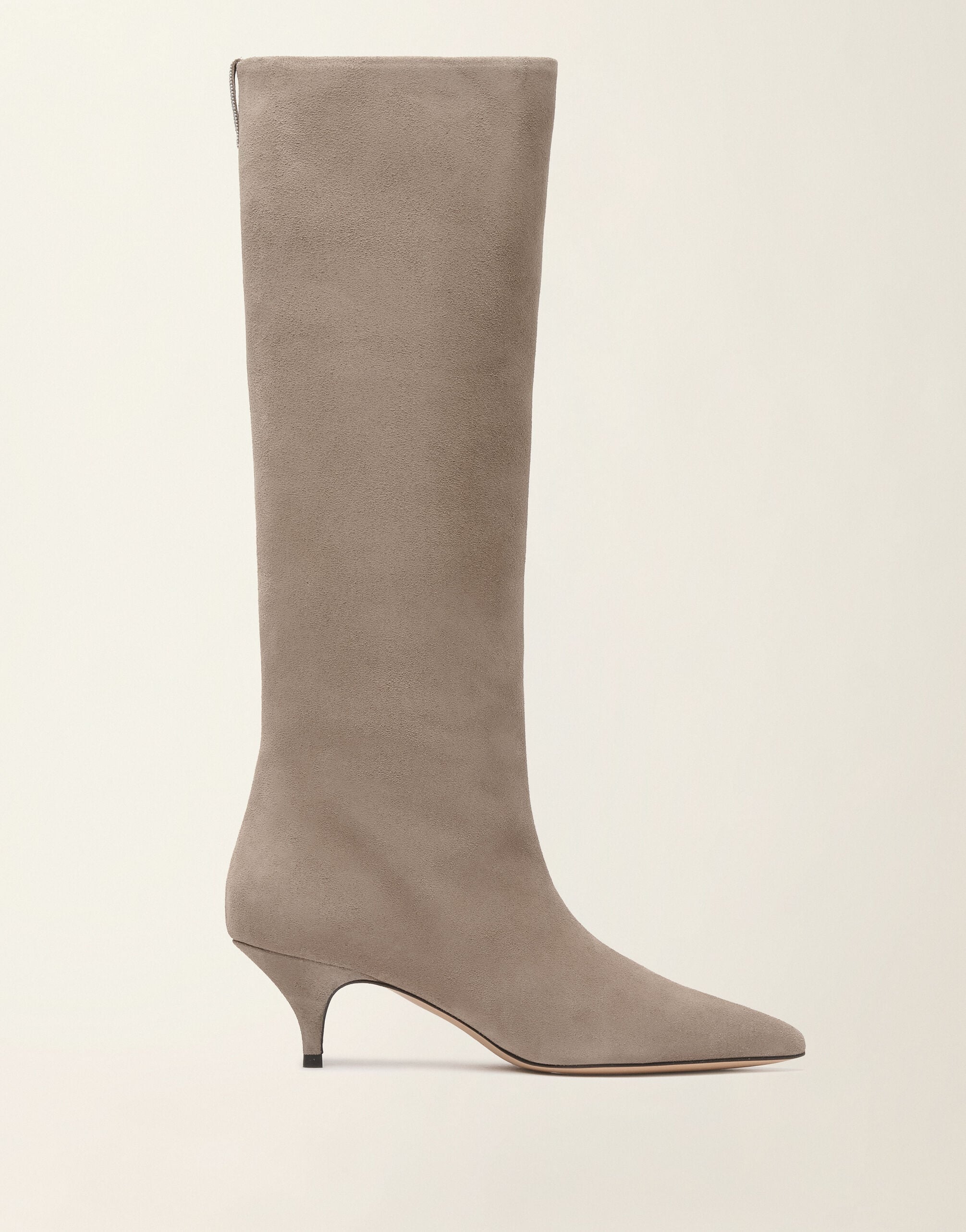 Suede knee-high boots, falcon Fabiana Filippi Suede knee-high boots, falcon Falcon ASD226A838M5450000