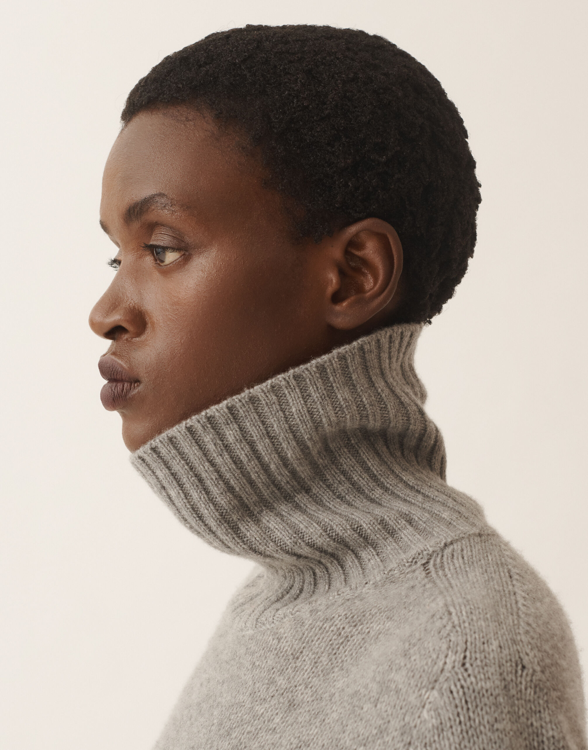 Cashmere turtleneck sweater, rock for Women | Fabiana Filippi®