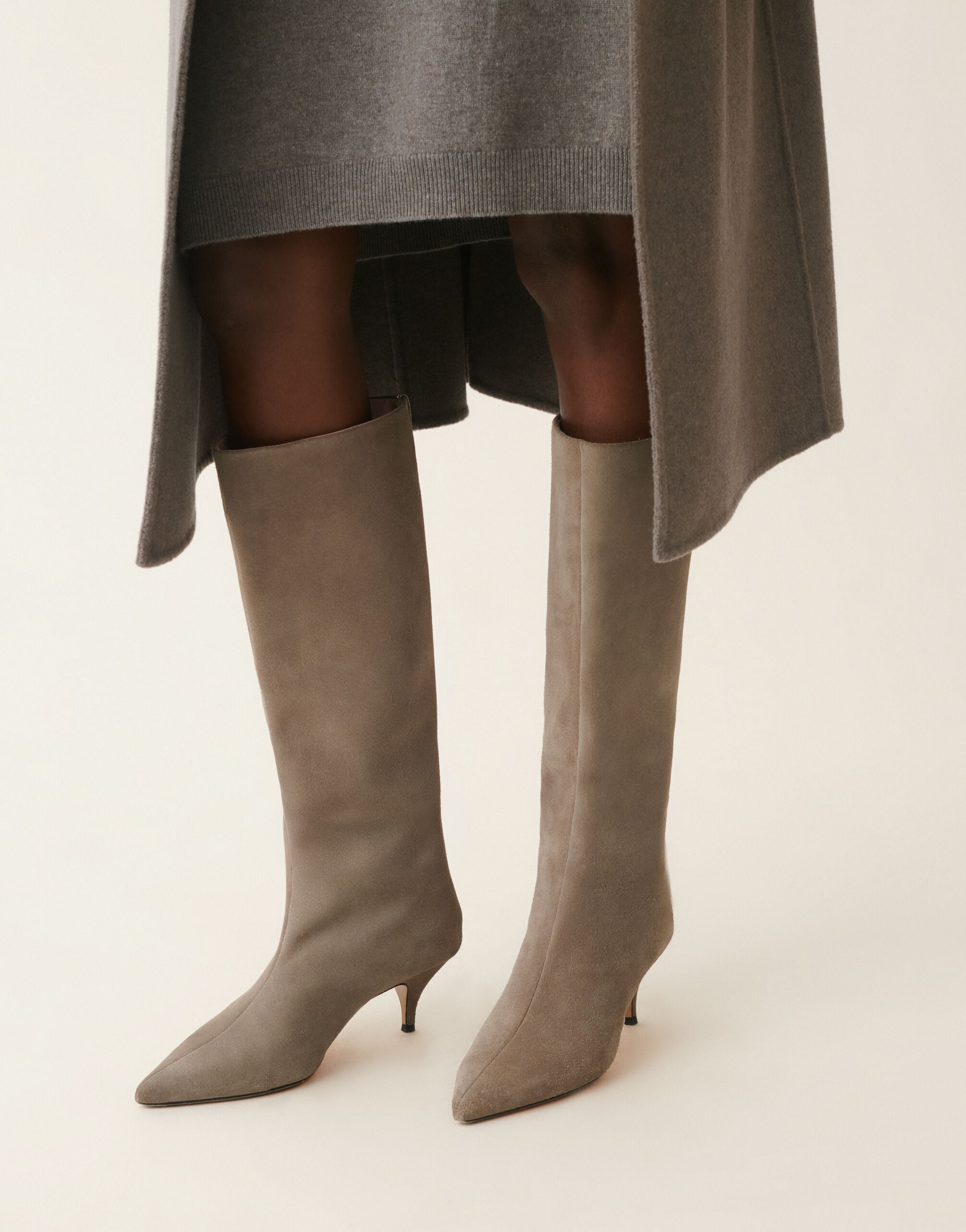 Suede knee-high boots, falcon Fabiana Filippi Suede knee-high boots, falcon Falcon ASD226A838M5450000