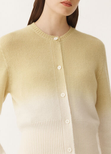 Fabiana Filippi Gradient platinum cardigan, aloe GREEN MAD265F103L1600000
