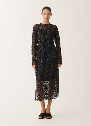Fabiana Filippi Kleid aus Organza mit Paillettenstickerei, schwarz SCHWARZ ABD265F218L1840000