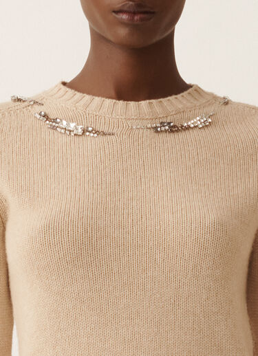 Fabiana Filippi Platinpullover mit Stickerei, Kordel Beige MAD225F584L6590000