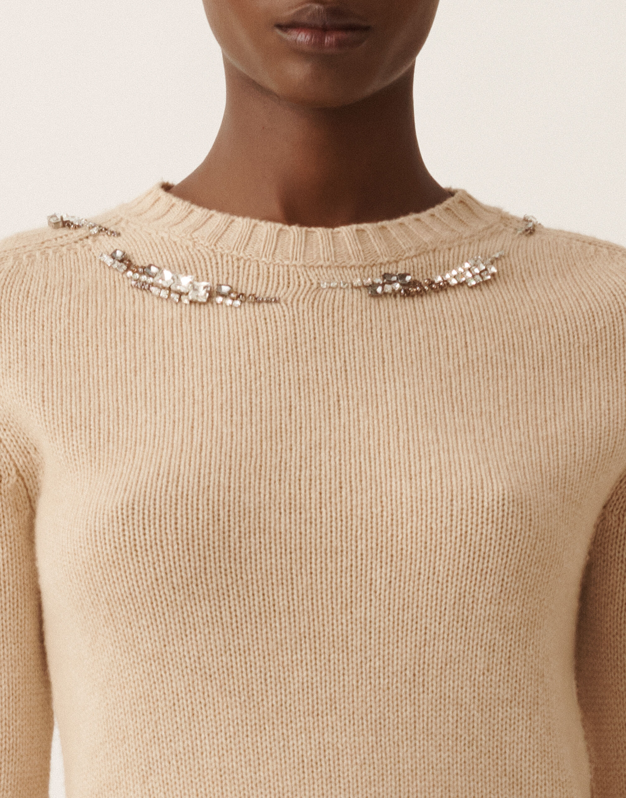 Fabiana Filippi Platinpullover mit Stickerei, Kordel Beige MAD225F584L6590000