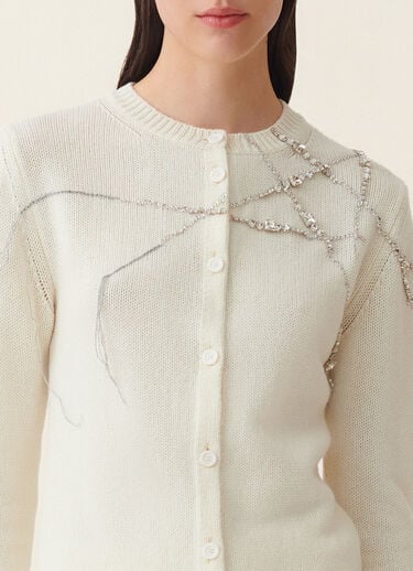 Platinum cardigan, raffia Fabiana Filippi Platinum cardigan, raffia Raffia MAD216F025M2870000