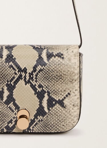 Fabiana Filippi Eclissi python-print calfskin mini messenger bag, putty WHITE BGD265A860L2520000