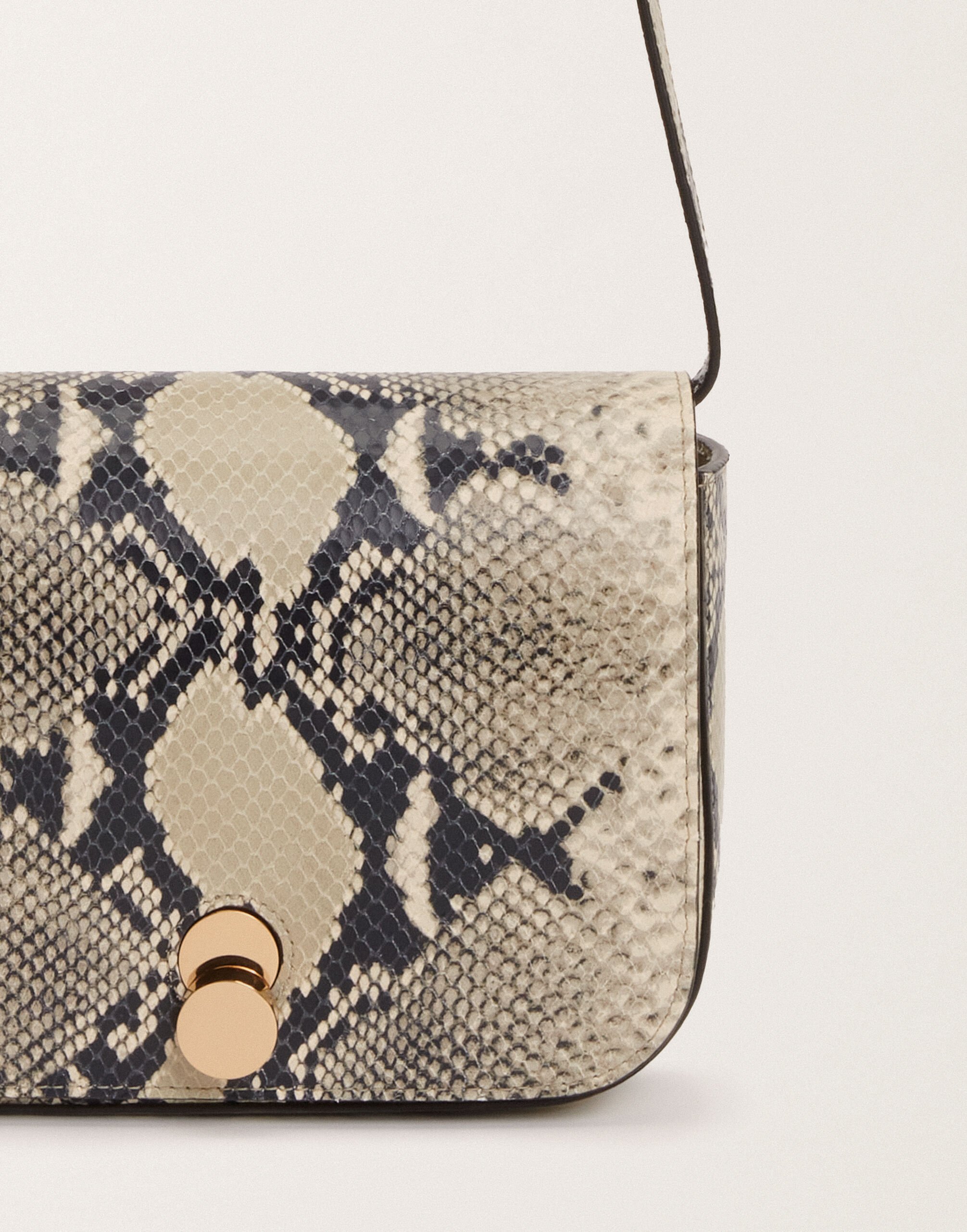 Fabiana Filippi Eclissi python-print calfskin mini messenger bag, putty WHITE BGD265A860L2520000