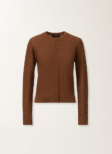 Fabiana Filippi Wool and silk sweater with sequins, mahogany BROWN MAD215F112D2960000