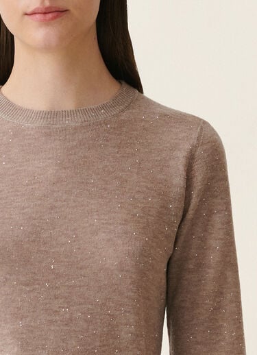 Pullover aus Wolle mit Pailletten, mocha Fabiana Filippi Pullover aus Wolle mit Pailletten, mocha Mocha MAD216F092D7220000