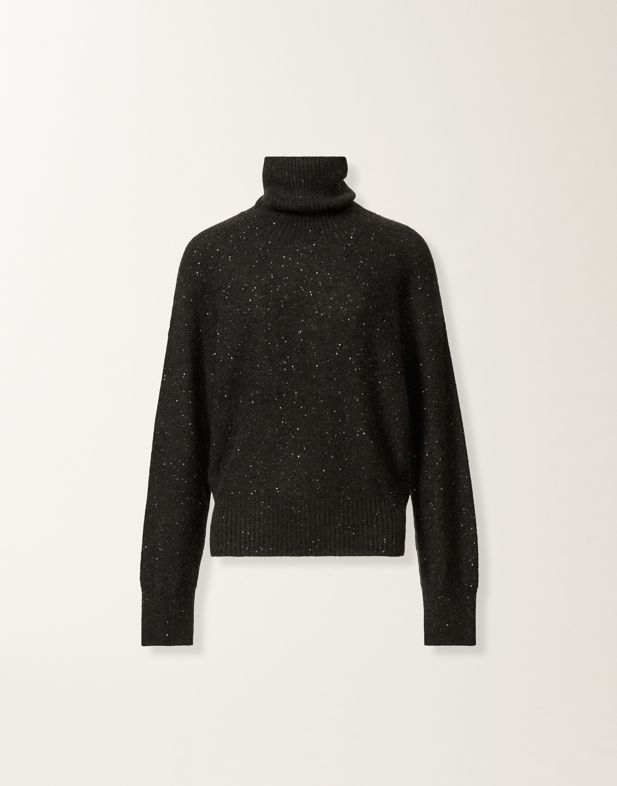 Fabiana Filippi Sequin-embellished Turtleneck Sweater In Black