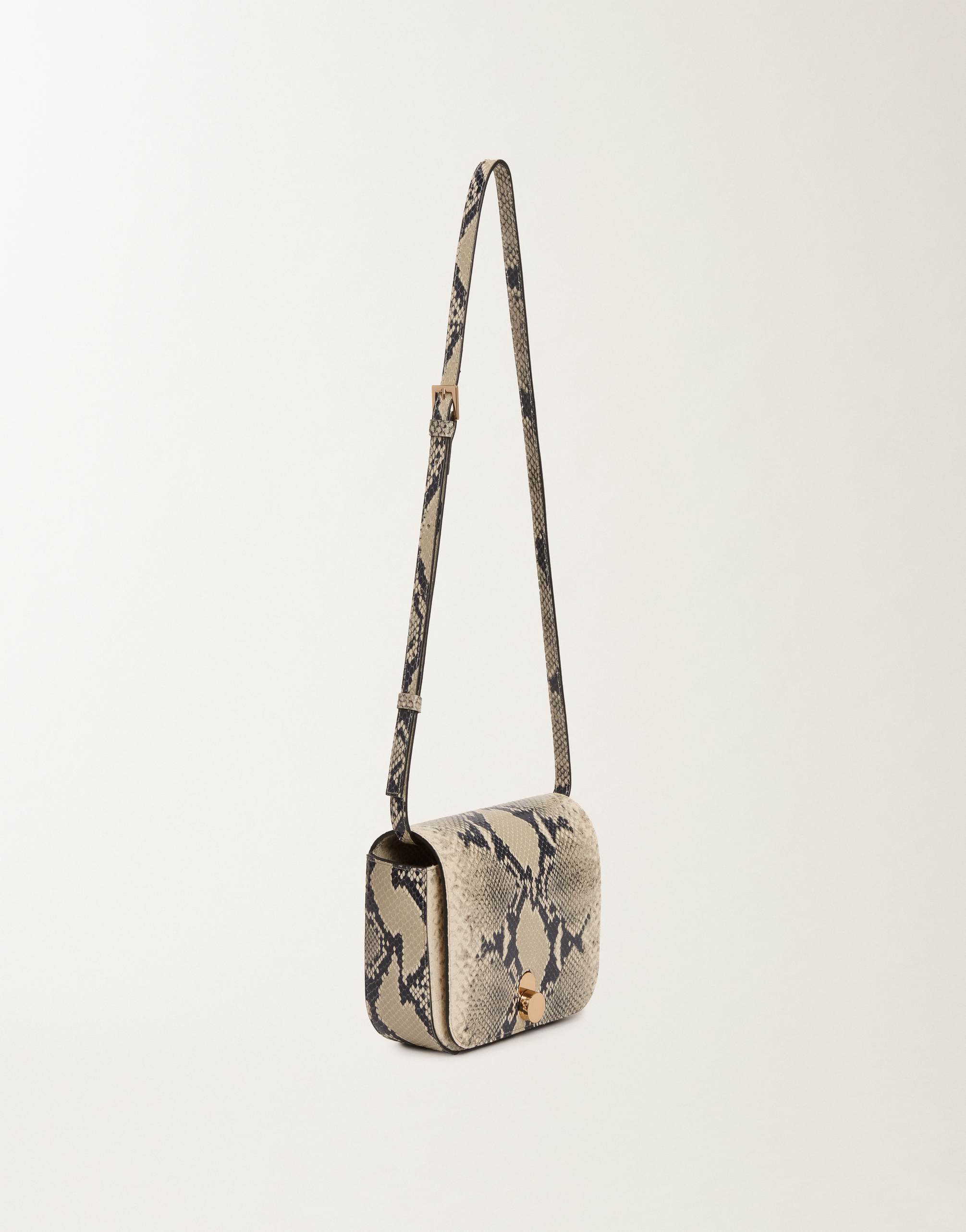 Fabiana Filippi Eclissi Python-print Calfskin Mini Messenger Bag In White