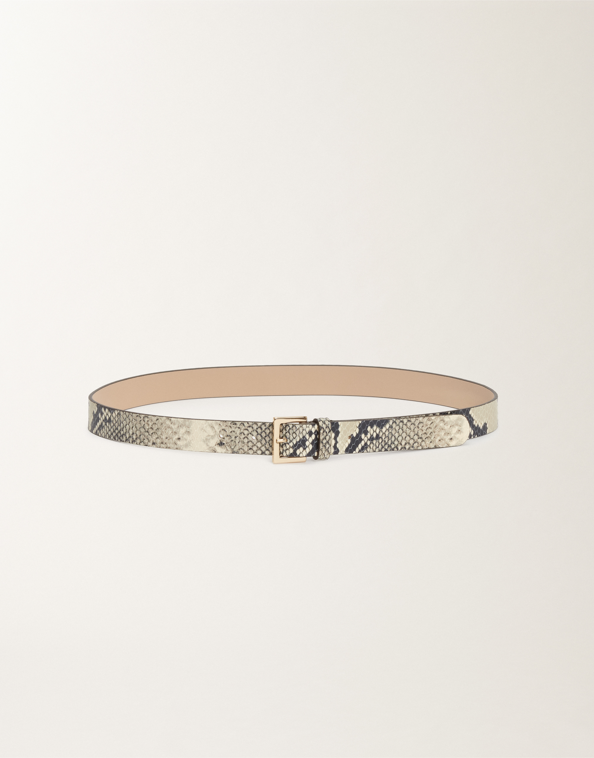 Fabiana Filippi Python-print Leather Belt In White