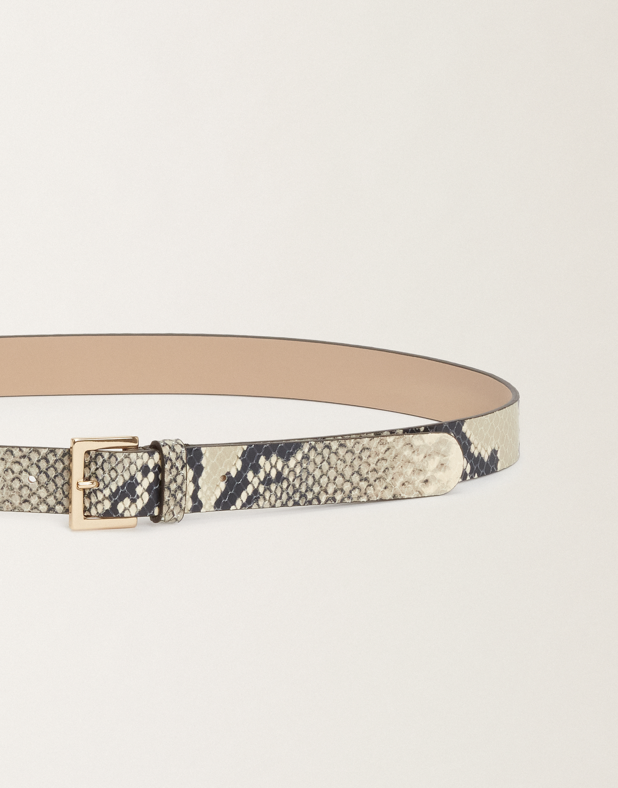 Fabiana Filippi Python-print Leather Belt In White