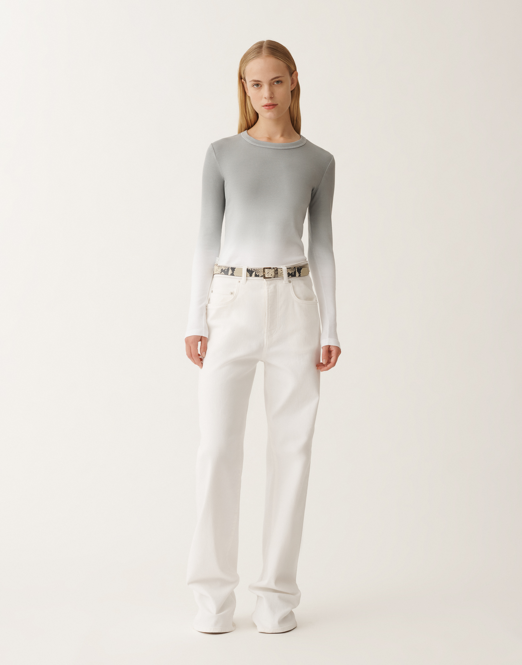 Fabiana Filippi Gradient-print Jersey T-shirt In Grey