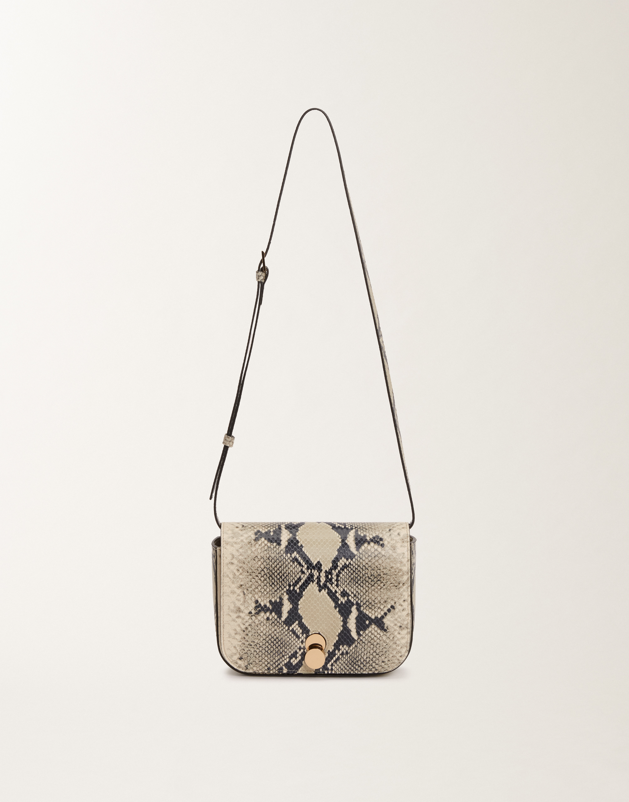 Fabiana Filippi Eclissi Python-print Calfskin Mini Messenger Bag In White
