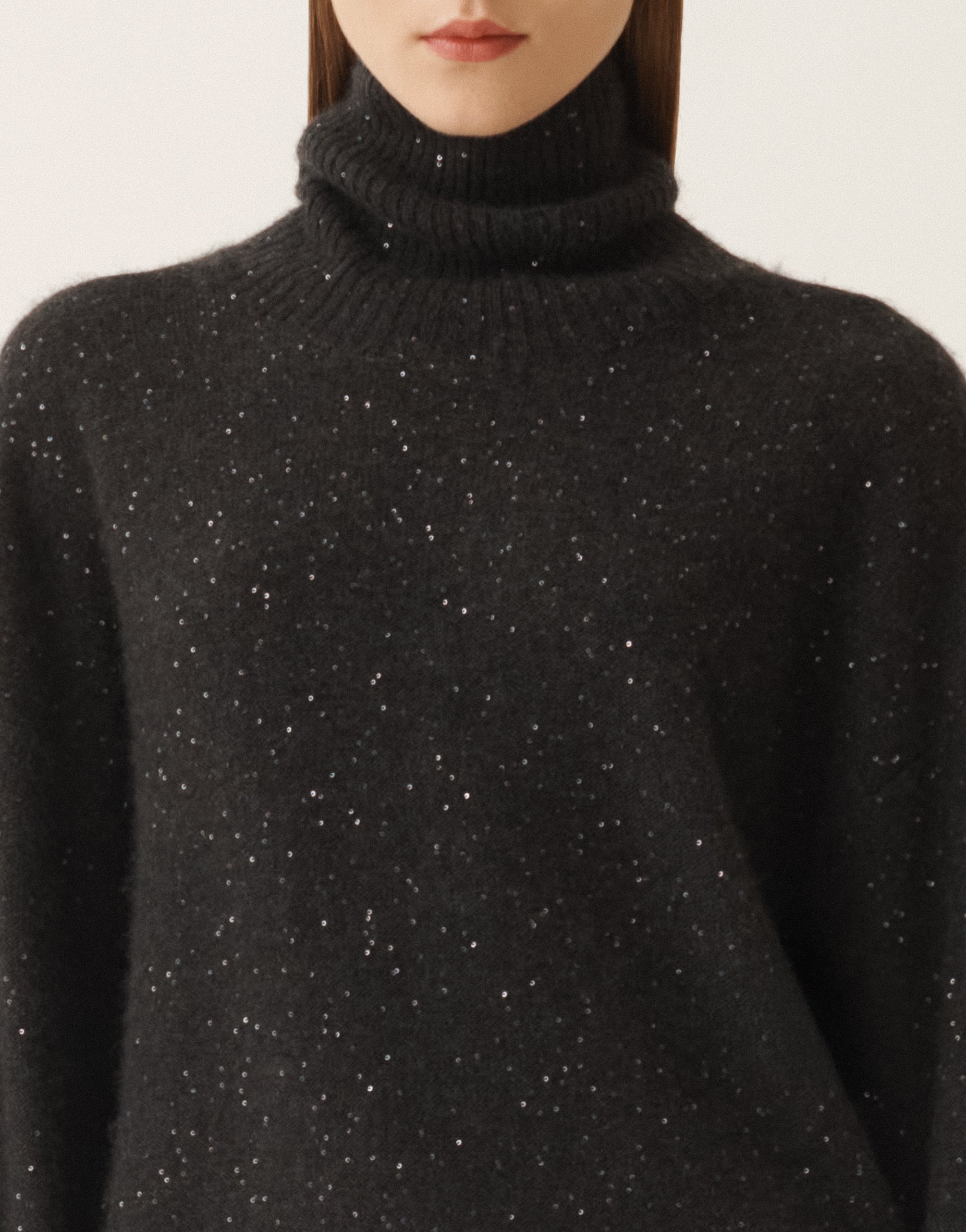 Fabiana Filippi Sequin-embellished Turtleneck Sweater In Black